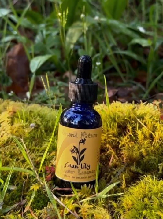 Second Nature Fawn Lily Essence